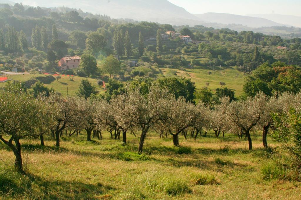 Rugiada Rooms Rivotorto Zewnętrze zdjęcie
